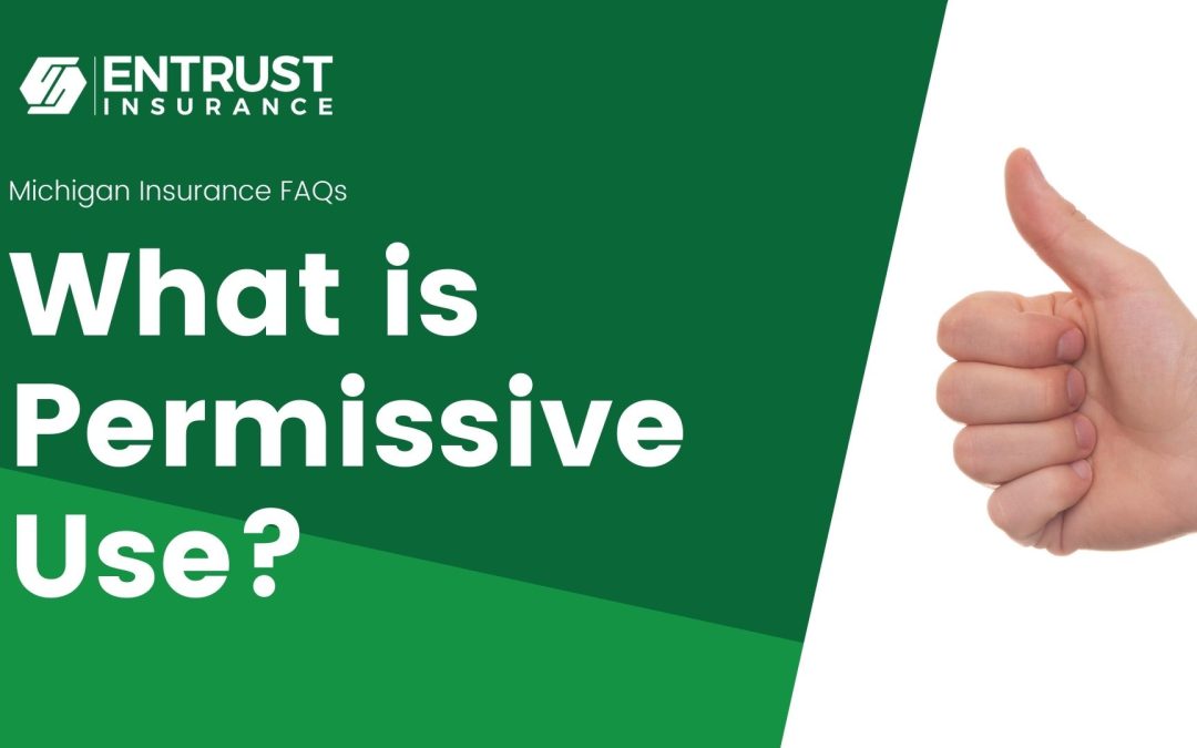 What is Permissive Use?